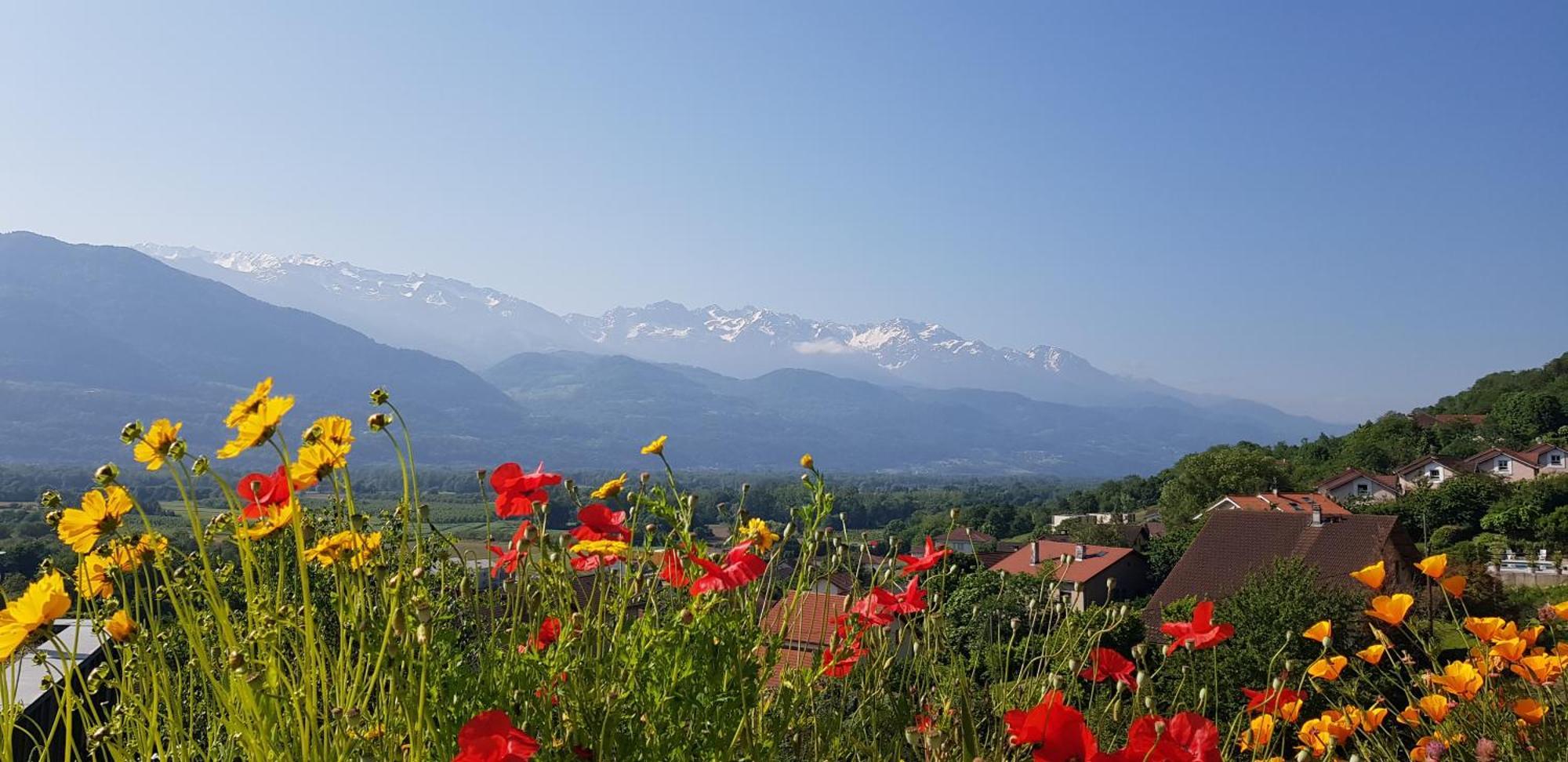 Gite Fabuleux, Jardin, Terrasse, Parking Saint-Vincent-de-Mercuze Buitenkant foto